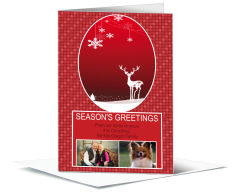 Patterned Christmas Reindeer Cards with multiple photo 5.50